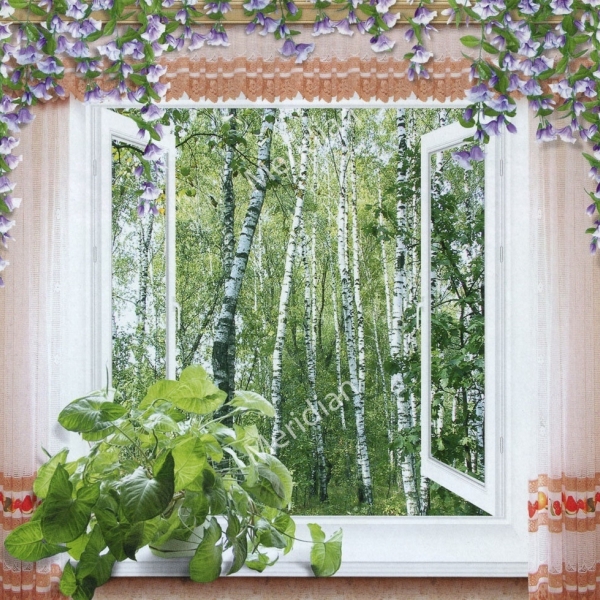 Фотошпалери 